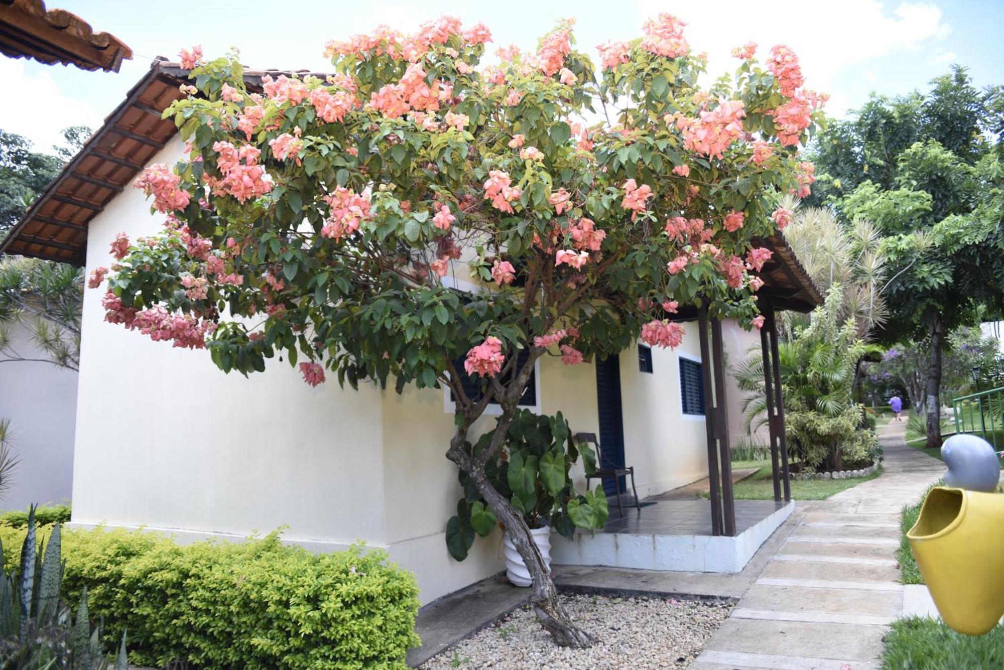 Rosa Spa E Pousada Aparecida de Goiania Exterior photo